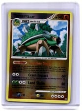 2008 Stormfront Torterra #11 card