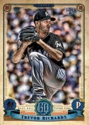 2019 Topps Gypsy Queen Base Set Trevor Richards #228 card