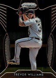 2019 Panini Prizm Base Set Trevor Williams #42 card