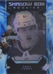 2018-19 SPx Base Set Troy Terry #33 card