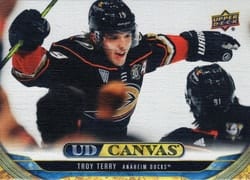 2024-25 Upper Deck UD Canvas Troy Terry #C-64 card