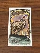 2024 Topps Allen & Ginter Swamp Creatures Mini Turkey Vulture #SC-15 card