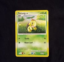 DP Black Star Promos Turtwig #DP01 card