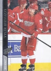 2020-21 Upper Deck Base Set Tyler Bertuzzi #317 card