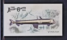 2025 Topps Allen & Ginter 50 Fish From Global Waters (Minis) Viperfish #FGW-46 card