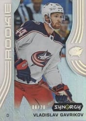 2019-20 Upper Deck Synergy Base Set Vladislav Gavrikov #53 card