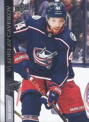 2020-21 Upper Deck Base Set Vladislav Gavrikov #306 card