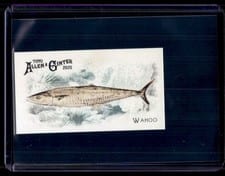 2025 Topps Allen & Ginter 50 Fish From Global Waters (Minis) Wahoo #FGW-20 card