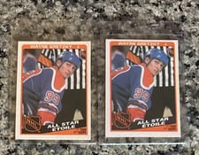 1984 O-Pee-Chee Wayne Gretzky #208 card