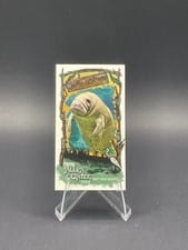 2024 Topps Allen & Ginter Swamp Creatures Mini West Indian Manatee #SC-2 card