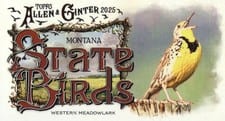 2025 Topps Allen & Ginter State Birds (Minis) Western Meadowlark - Montana #SB-26 card