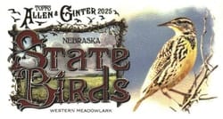 2025 Topps Allen & Ginter State Birds (Minis) Western Meadowlark - Nebraska #SB-27 card