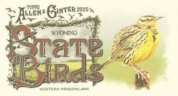 2025 Topps Allen & Ginter State Birds (Minis) Western Meadowlark - Wyoming #SB-50 card