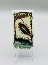 2024 Topps Allen & Ginter Swamp Creatures Mini Whirligig Beetles #SC-29 card