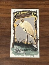 2024 Topps Allen & Ginter Swamp Creatures Mini Wood Stork #SC-14 card