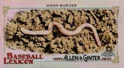 2022 Topps Allen & Ginter Chrome Mini Baseball Lexicon Worm Burner #BL-3 card