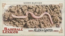 2022 Topps Allen & Ginter Mini Baseball Lexicon Worm Burner #BL-3 card