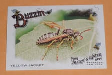 2024 Topps Allen & Ginter Buzzin’ Yellow Jacket #BUZ-13 card